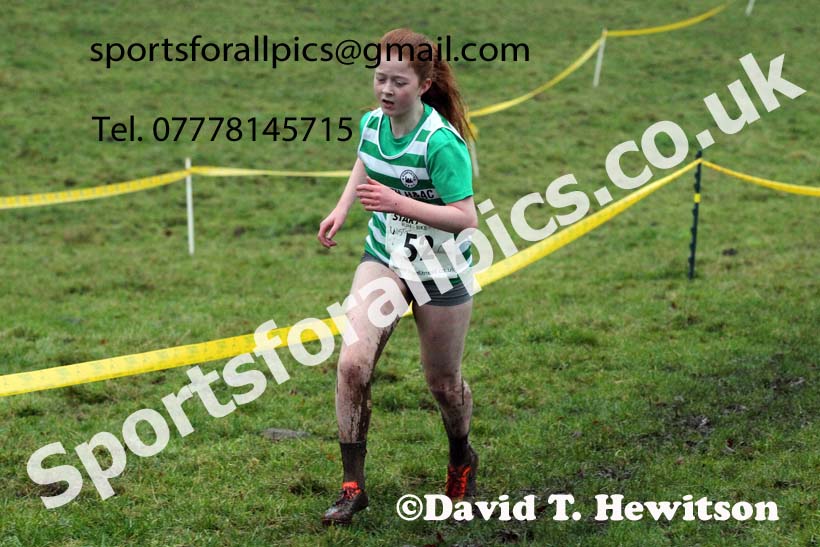 Girls under-15s, NECAA Junior Cross Country Relays, Thornley Farm, Peterlee, Saturday, December 12th. Photo: David T. Hewitson/Sports for All Pics